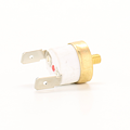 ROBUR termostat 70°C