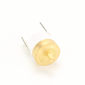 ROBUR termostat 70°C
