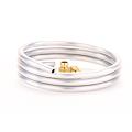 360° fotografie FERROLI burner line D6x1 - 1000